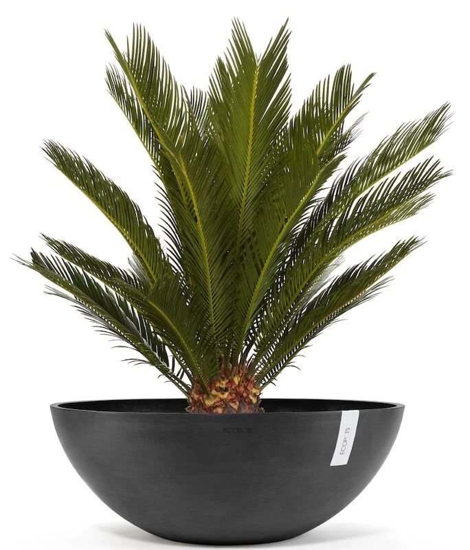 Ecopots Vienna Ruukku 70 Cm Tummanharmaa 3 Ecopots Vienna Ruukku 70 Cm Tummanharmaa - Image 3