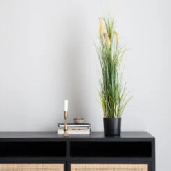 Heinä Cat Tail Grass 70 Cm 8 Heinä Cat Tail Grass 70 Cm -Yleinen Kotikauppa heina cat tail grass 70cm web 2