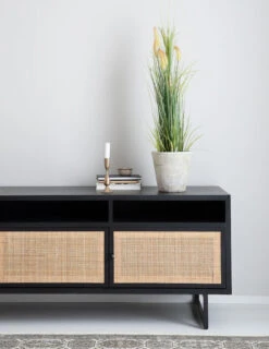 Heinä Cat Tail Grass 70 Cm 7 Heinä Cat Tail Grass 70 Cm -Yleinen Kotikauppa heina cat tail grass 70cm web 3