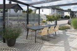 Hillerstorp Liljearp Rottinkituoli Luonnonväri/musta 11 Hillerstorp Liljearp Rottinkituoli Luonnonväri/musta -Yleinen Kotikauppa hillerstorp liljearp rottinkituoli 05