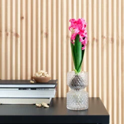 Hyasintti Tekokasvi 30 Cm Vaaleanpunainen