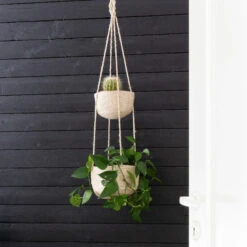 Fanni K Amppelikori Rauha