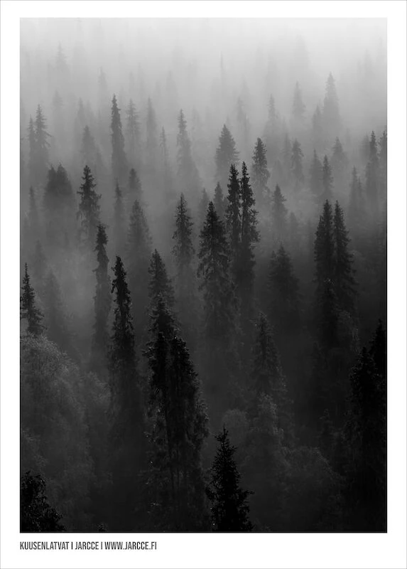 Jarcce Kuusenlatvat Juliste 30x40 Cm 2 Jarcce Kuusenlatvat Juliste 30x40 Cm - Image 2