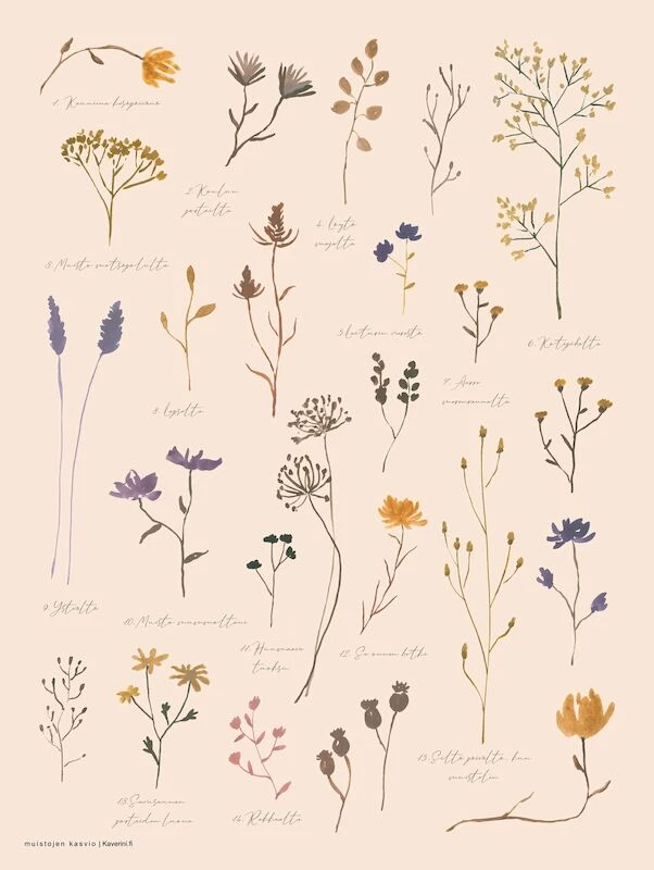 Kaverini Sella Muistojen Kasvio Juliste 30x40 Cm 2 Kaverini Sella Muistojen Kasvio Juliste 30x40 Cm - Image 2