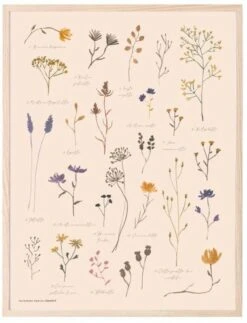 Kaverini Sella Muistojen Kasvio Juliste 30x40 Cm