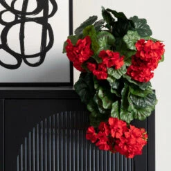 Pelargonia Jättipensas Tekokasvi Punainen 5 Pelargonia Jättipensas Tekokasvi Punainen -Yleinen Kotikauppa pelargonia jattipensas punainen 3