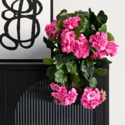 Pelargonia Jättipensas Tekokasvi Punainen 7 Pelargonia Jättipensas Tekokasvi Punainen -Yleinen Kotikauppa pelargonia jattipensas vaaleanpunainen 3