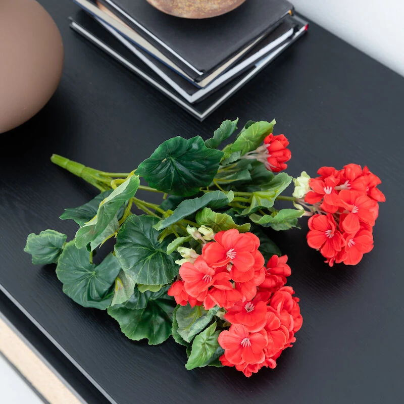 Pelargonia Tekokasvi Punainen 2 Pelargonia Tekokasvi Punainen - Image 2