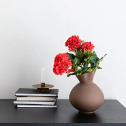 Pelargonia Tekokasvi Punainen