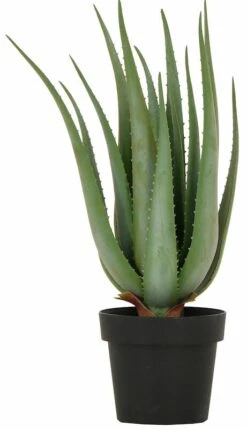 Aloe Tekokasvi 68 Cm 8 Aloe Tekokasvi 68 Cm -Yleinen Kotikauppa silkkikasvit Aloe 68 cm 0 0